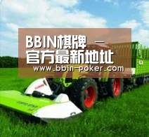 关于BBIN官网