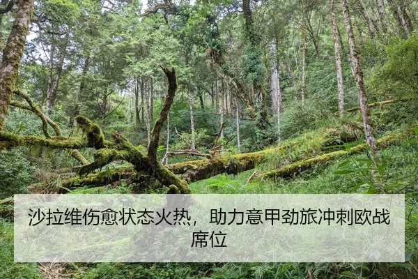 sha-la-wei-shang-yu-zhuang-tai-huo-re-zhu-li-yi-jia-jing-lv-chong-ci-ou-zhan-xi-wei-2-808.jpg