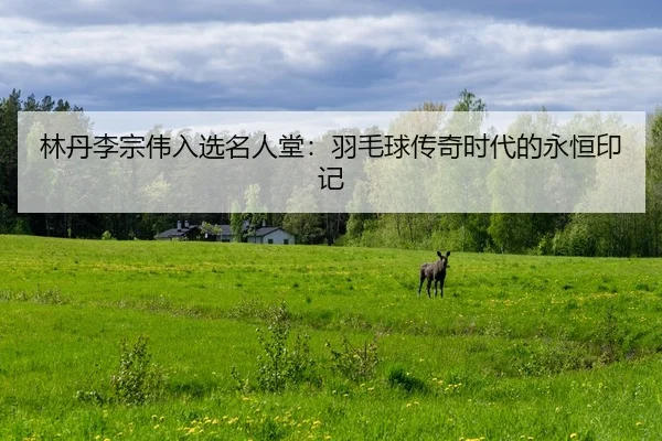 lin-dan-li-zong-wei-ru-xuan-ming-ren-tang-yu-mao-qiu-chuan-qi-shi-dai-de-yong-heng-yin-ji-2-921.jpg
