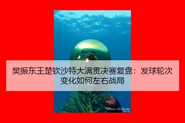 fan-zhen-dong-wang-chu-qin-sha-te-da-man-guan-jue-sai-fu-pan-fa-qiu-lun-ci-bian-hua-ru-he-zuo-you-zhan-ju-2-512.jpg