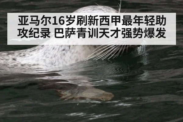 亚马尔16岁刷新西甲最年轻助攻纪录 巴萨青训天才强势爆发