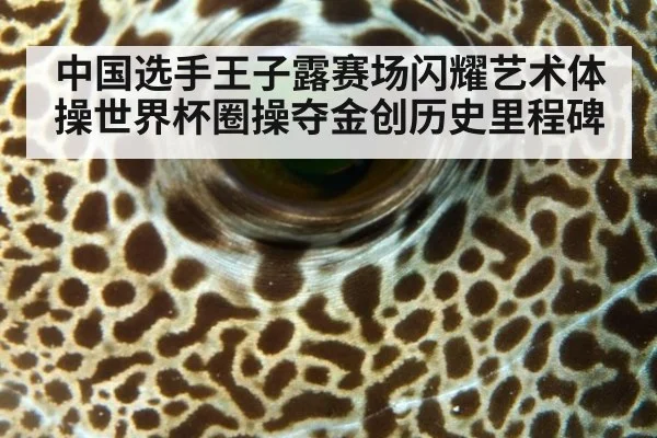 中国选手王子露赛场闪耀艺术体操世界杯圈操夺金创历史里程碑