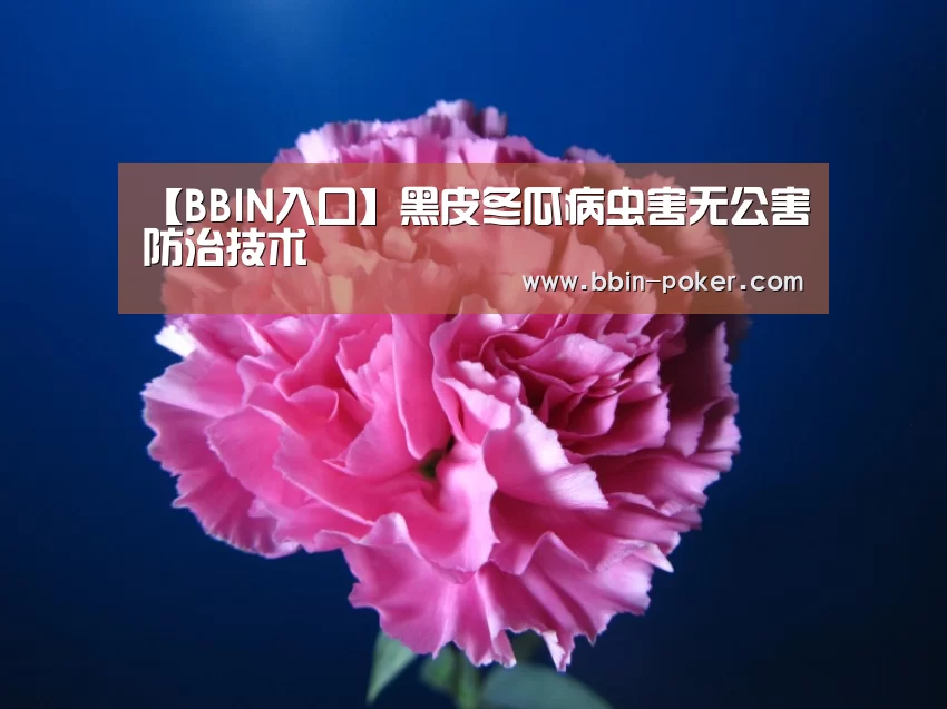 【BBIN入口】黑皮冬瓜病虫害无公害防治技术(图2) BBIN电子