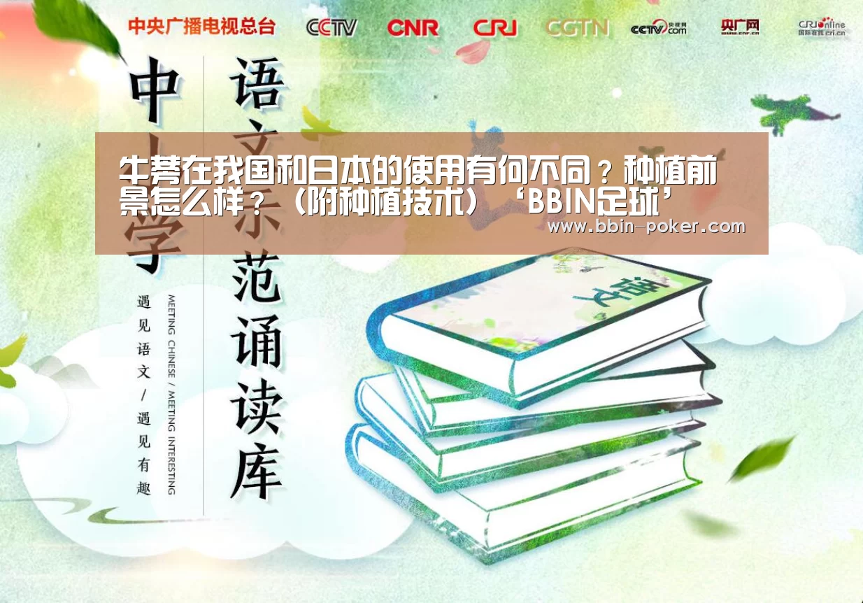 牛蒡在我国和日本的使用有何不同?种植前景怎么样?(附种植技术)‘BBIN足球’(图1) BBIN电子