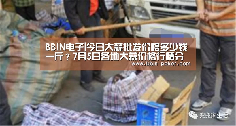 BBIN电子|今日大蒜批发价格多少钱一斤?7月5日各地大蒜价格行情分析(图1) BBIN入口