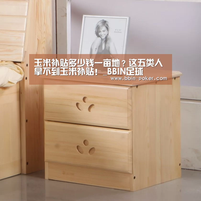 BBIN电子